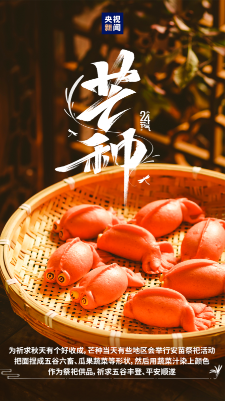 微信图片_20250605083530.png