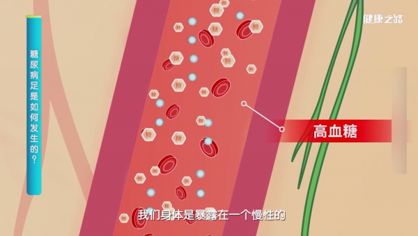 微信图片_20250610142611.png