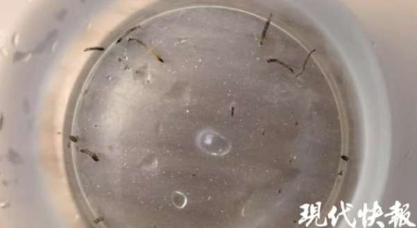 微信截图_20250620083329.png
