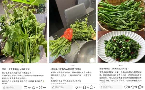微信图片_20250627084004.jpg