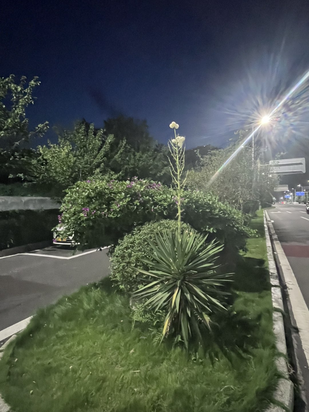 20250916102628front1_0_421177_FmPRFDkNBDHf6R051eNq1HKrso1C.jpg