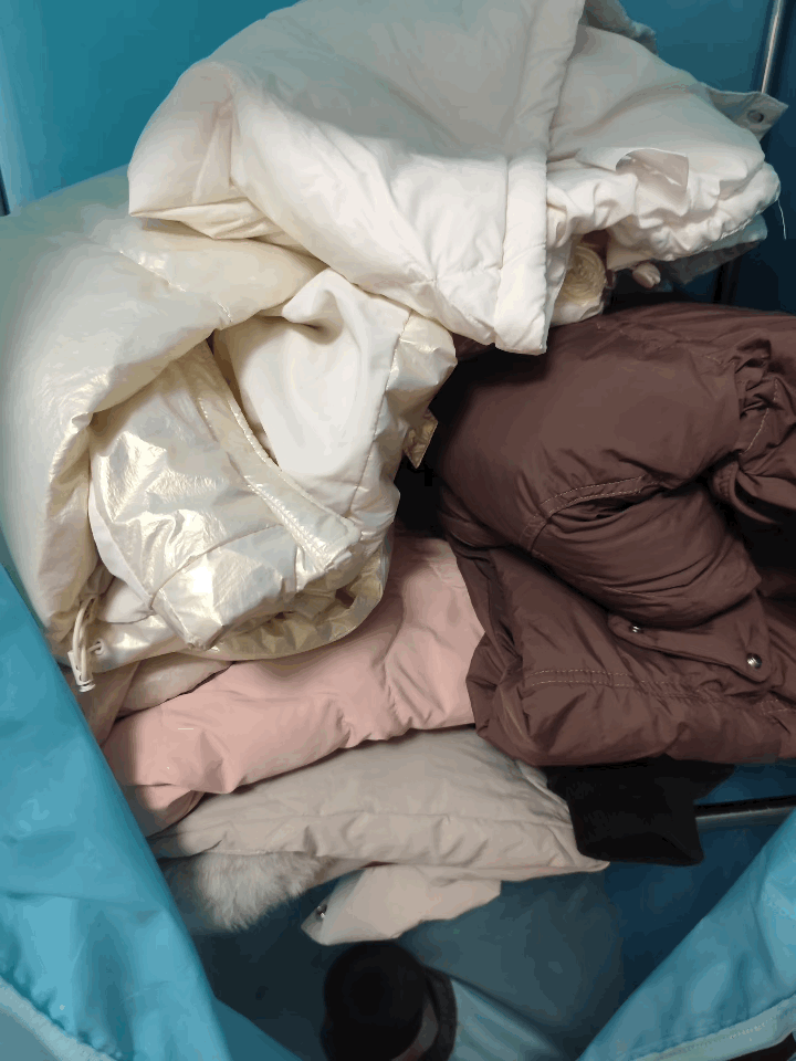 20251112091702front1_0_420450_FmYWlPb4bX1UNKbZkqKgYuvd7RIx.gif