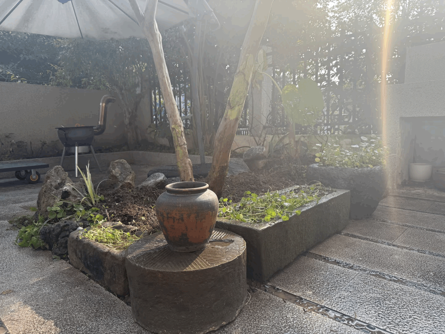 20260106095308front1_0_420455_FkfjQ2l5xHcwsfRCf4JbQNLI7UTR.gif
