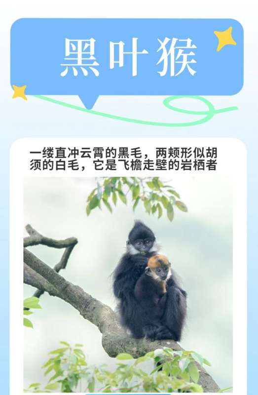微信图片_20260409104521_17_35.jpg