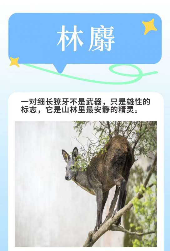 微信图片_20260409104522_18_35.jpg
