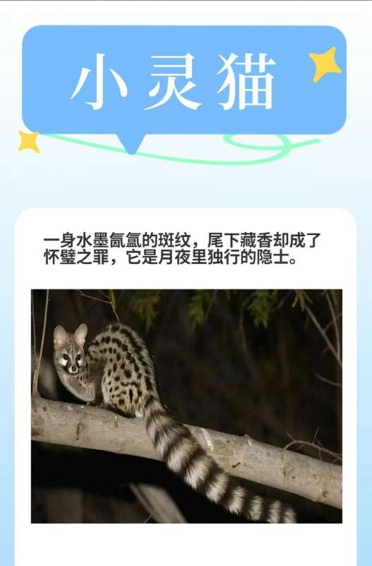 微信图片_20260409104522_19_35.jpg