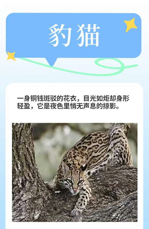 微信图片_20260409104524_21_35.jpg