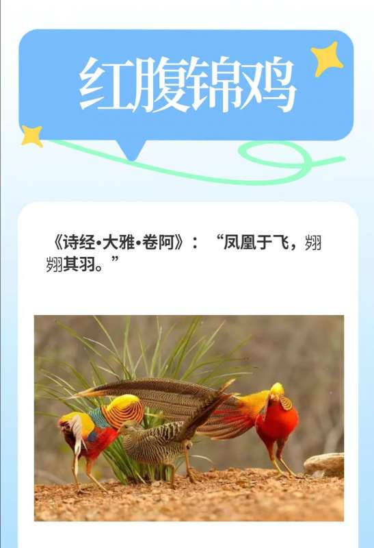 微信图片_20260409104526_23_35.jpg
