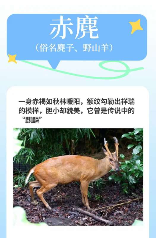 微信图片_20260409104527_24_35.jpg