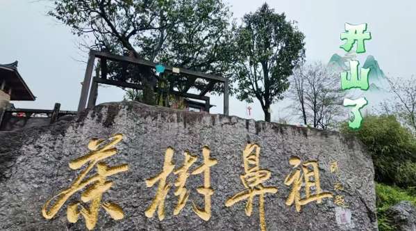 微信图片_20260414104051_46_1.jpg