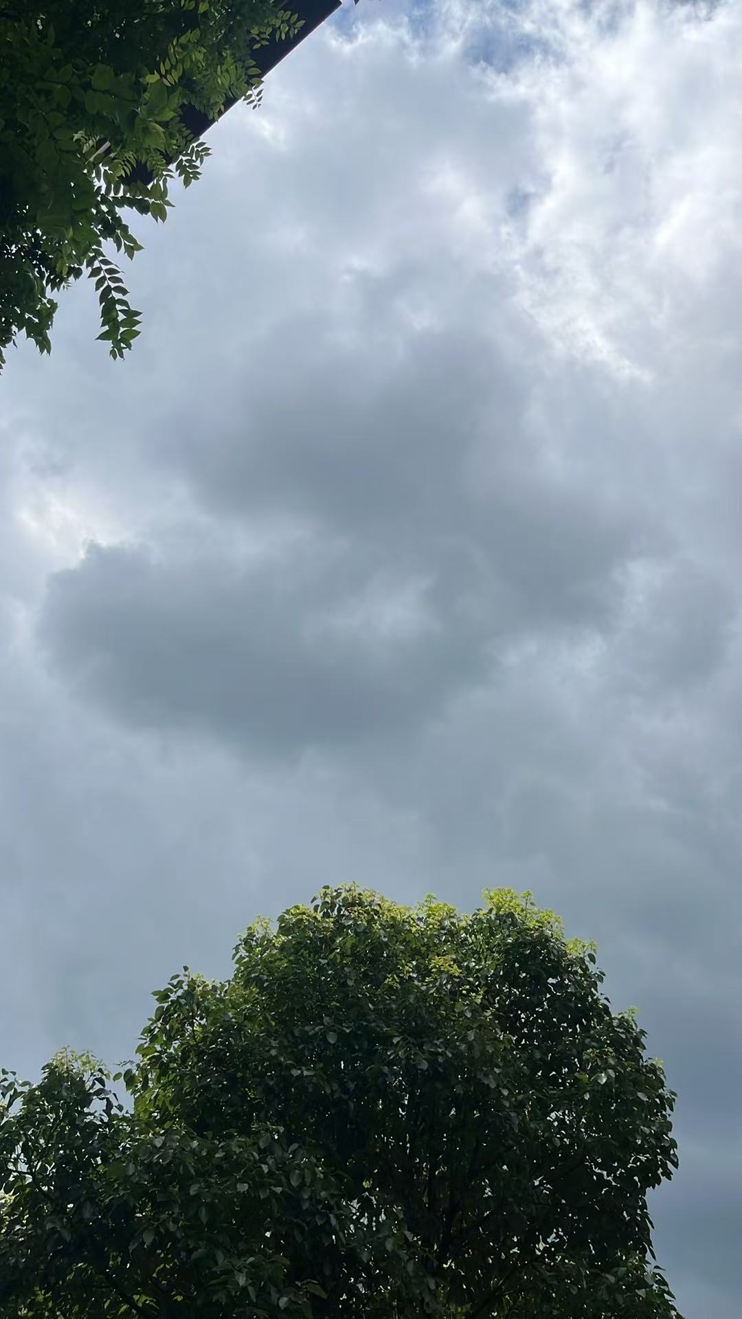 20260701150146front1_0_407029_FnzDrZz519jOQCmxBeyc8q6bkx7d.jpg