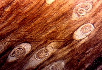 ScreenShot_2026-07-31_142152_295.png