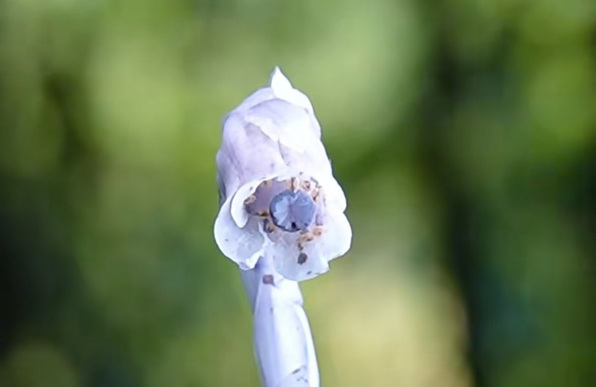 20260811112936front1_0_414126_Fj8gfdNOj1LyhPkCHqxLbU_PVDu9.jpg